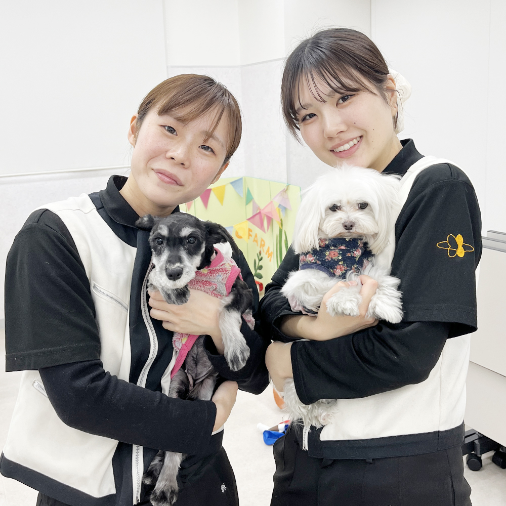 モデル犬の写真撮影会PART①